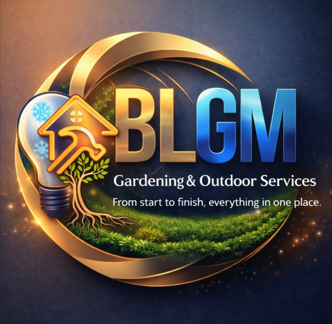 BLGM Soluções